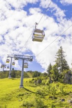 A cable car travelling across a green meadow, surrounded by trees and under a cloudy sky, Penken,