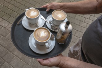 Waiter brings three cappuccinos on a tray to the guest, Bavaria, Germany, Europe