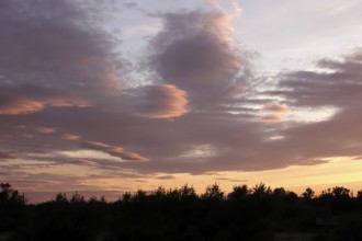 Summer evening on the Elbe near Magdeburg, Saxony-Anhalt, Germany, Europe