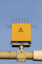 Bird defence, pigeon defence, spikes on a runway lighting system, Stuttgart Airport,