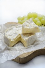 French Camembert, cheese on a wooden board