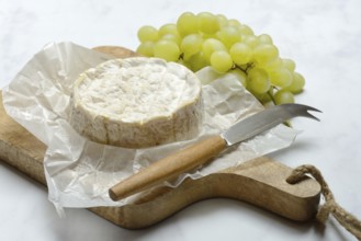 French Camembert, cheese on a wooden board