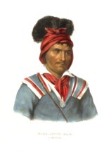 American Indian, Native American, Foke-Luste-Hajo, a Seminole chief, United States of America, USA,