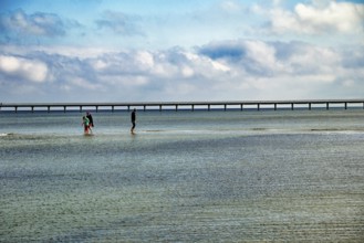 The new Prerow pier, at 720 metres the longest pier in the Baltic Sea, Prerow seaside resort,