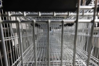 Shopping trolley, Germany, Europe