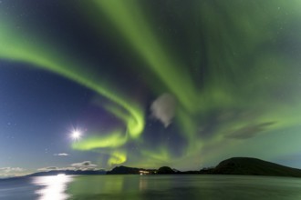 Northern Lights, (Aurora borealis) at a fjord near Skjiervoya, September 2024, Lapland, Finnmark,