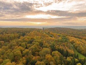 Sweeping view over autumn forest under a cloudy sky with horizon, Schönbuchturm, Herrenberg,