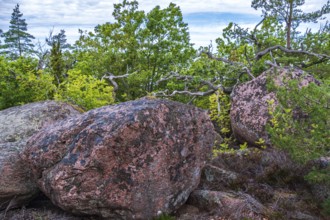 Granite rocks and vegetation on the Blue Maiden (Bla Jungfrun), an island and national park in