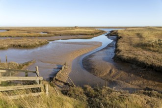 Landscape mudfats saltings tributary of River Ore low tide, Orford Ness spit, North Sea, Suffolk,