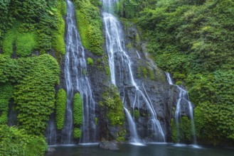 Banyumala twin waterfalls, waterfall, jungle, rainforest, water, nature, botany, holiday, paradise,