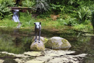 Heidelberg, Germany, June 8th 2024: Wolf sculpture at historic well called 'Wolfsbrunnen' in