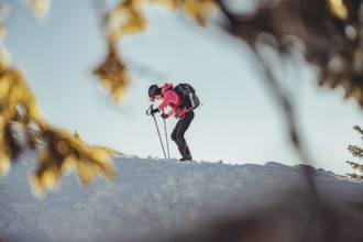 A woman's ski tour at sunrise on the Tegelberg in the Allgäu in the Ammergebirge, Bavaria, Germany,