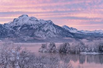 Dawn and sunrise at the wintry Forggensee in a snow-covered winter landscape in the foothills of