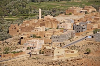 Oasis town of Tinerhir, Souss-Massa-Daraâ region, Morocco, Africa