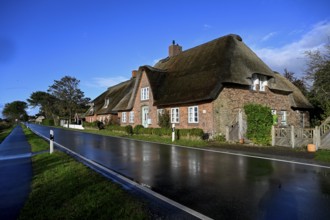 Thatched roof house on Junkersmitteldeich, Pellworm Island, Schleswig-Holstein Wadden Sea National