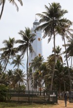 Dondra Head Lighthouse or lighthouse in coconut trees, Dondra, Southern Province, Sri Lanka, Asia