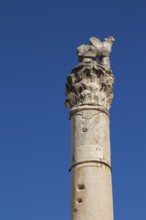 Close-up of the pillar of Shame in the old Croatian public Square, Old Town of Zadar, Croatia,