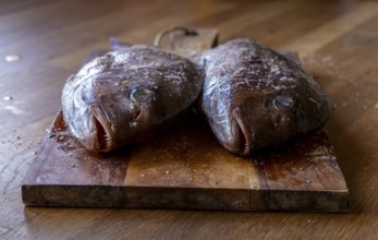 Two bream lying on a wooden board on a kitchen counter, ready for preparation, Zadar, Croatia,