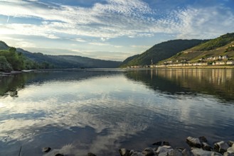 View over the Rhine to Lorch, Rheingau, World Heritage Site Upper Middle Rhine Valley, Hesse,