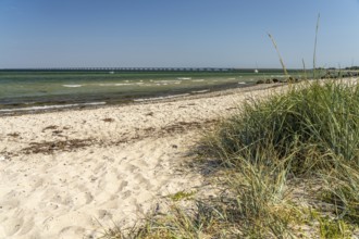 The beach at Nyborg, Denmark, Europe