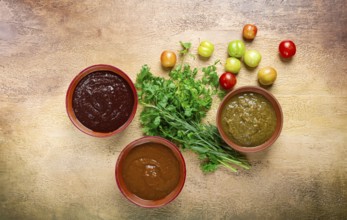 Set of tkemali sauces, three types of tkemali sauce, in ceramic bowls, top view, Georgian cuisine,