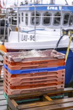 Fishing boats in the town harbour of Sassnitz, island of Rügen, transport crates for fish,