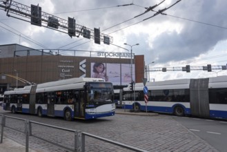 Buses stop at Riga Central Station, Riga, Latvia, Europe