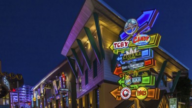 Brightly colored neon signs guide tourists through City Walk at Universal Studios in Orlando,