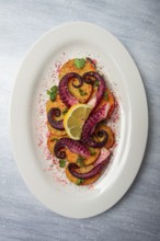 Octopus with potatoes and spices, on a light plate, top view, no people, homemade, close-up