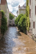 River Queich between houses, Landau, Palatinate, Rhineland-Palatinate, Germany, Europe