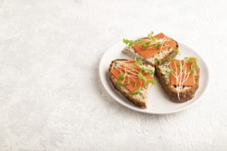 Grain bread sandwiches with red tomato cheese and mizuna cabbage microgreen on gray concrete