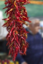 Market stall with dried, threaded chilli peppers, Majorca, Balearic Islands, Spain, Europe