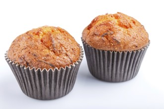 Two carrot muffins isolated on white background. closeup