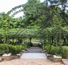 Arches with plants in the Botanic Garden of Singapore