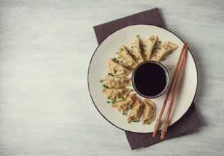 Japanese Gyoza dumplings, fried, with sauce, top view, without people, tinted, selective focus