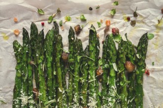 Grilled asparagus, with spices and herbs, parmesan cheese, on a white background, top view, rustic,