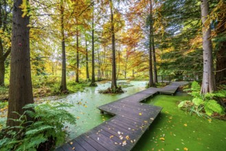 The Botanical Garden of the Ruhr University Bochum, in the district of Bochum-Querenburg, North