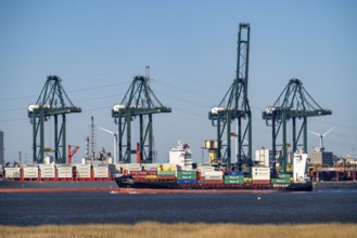 The port of Antwerp, on the Scheldt, is the second largest seaport in Europe, Container Terminal