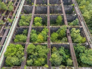 Duisburg-Nord Landscape Park, former Thyssen steelworks, closed in 1985, since then trees have been