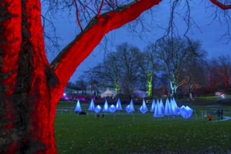 Parkleuchten, event in winter, in the Grugapark in Essen, many different light installations,