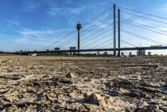 Rhine near Düsseldorf, extremely low water, Rhine level at 81 cm, falling, after a long drought the