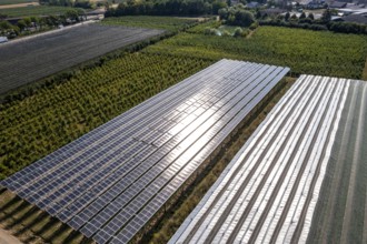 Agri-photovoltaic test plant, an apple orchard with two different systems of PV modules was roofed