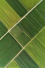 Aerial view photo capturing the abstract geometric patterns of a rural landscape, AI generated