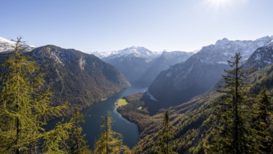 Panoramic view of the Königssee from the Archenkanzel viewpoint, autumnal forest and snow-capped