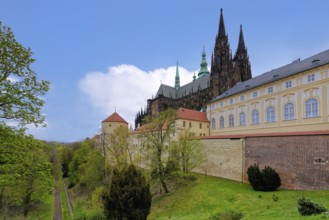 Prague castle, Cathedral and Powder Tower, Prague, Czech Republic, Europe