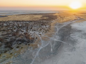 Rocky island with baobab trees in a dry salt pan, at sunset, off-road vehicle on the salt pan,