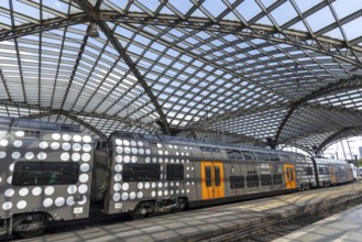 Local train and glass roof at Cologne Central Station, Cologne, Rhineland, North Rhine-Westphalia,