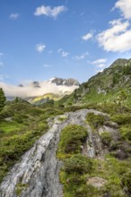 Mountain landscape with mountain peak Kleiner Mörcher, Berliner Höhenweg, Zillertal Alps, Tyrol,