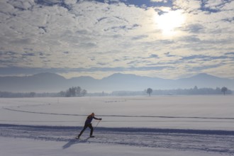 Cross-country skier, man, adult, on cross-country trail in front of mountains, snow, winter, Tölzer