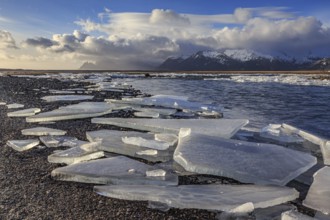 Ice floes on the beach, snowy, waves, sea, cloudy mood, winter, Lonsvik, Höfn, Iceland, Europe